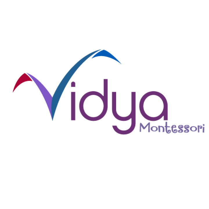 logo vidya